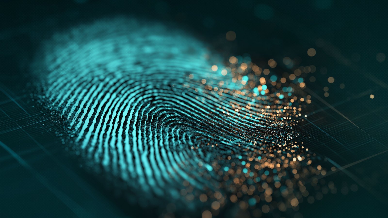 Mengapa Anda Tidak Perlu Menyembunyikan Semua Data dari Internet